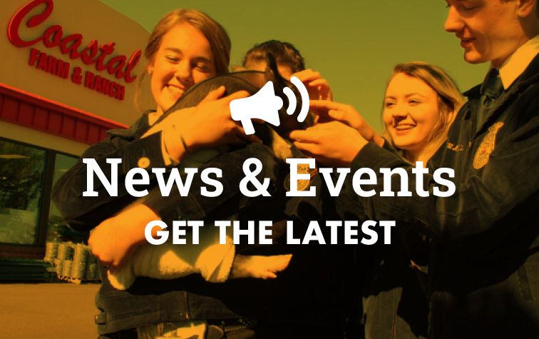 News & Events
