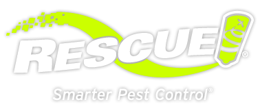 RESCUE!